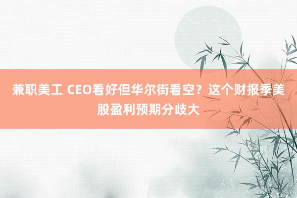 兼职美工 CEO看好但华尔街看空？这个财报季美股盈利预期分歧大